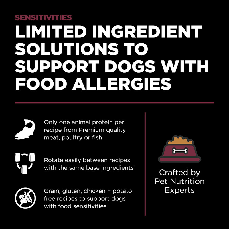 Limited ingredient solutions to support dogs with allergies