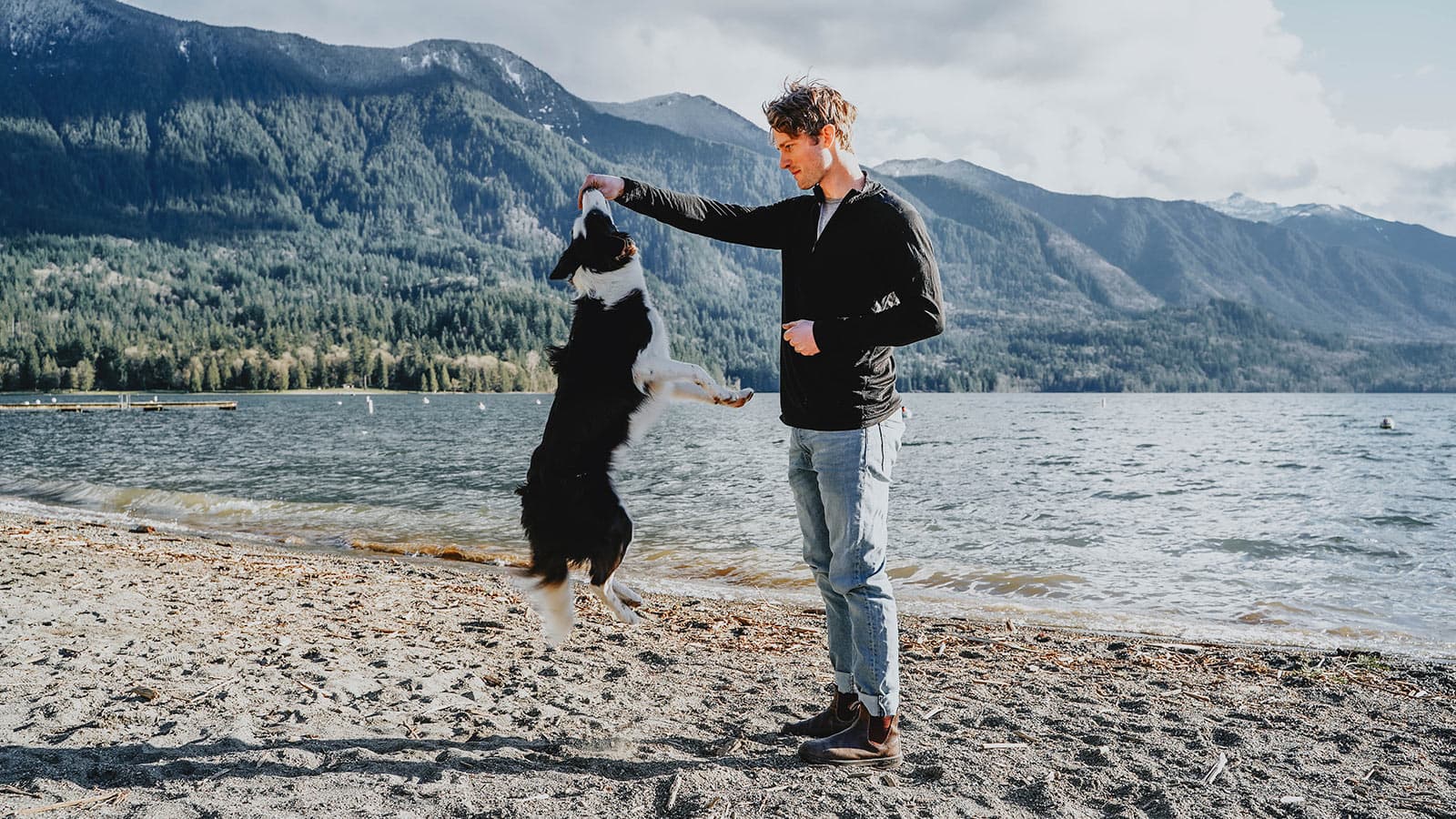 Top 14 How To Exercise Dog When It'S Too Hot Lastest Updates 09/2022