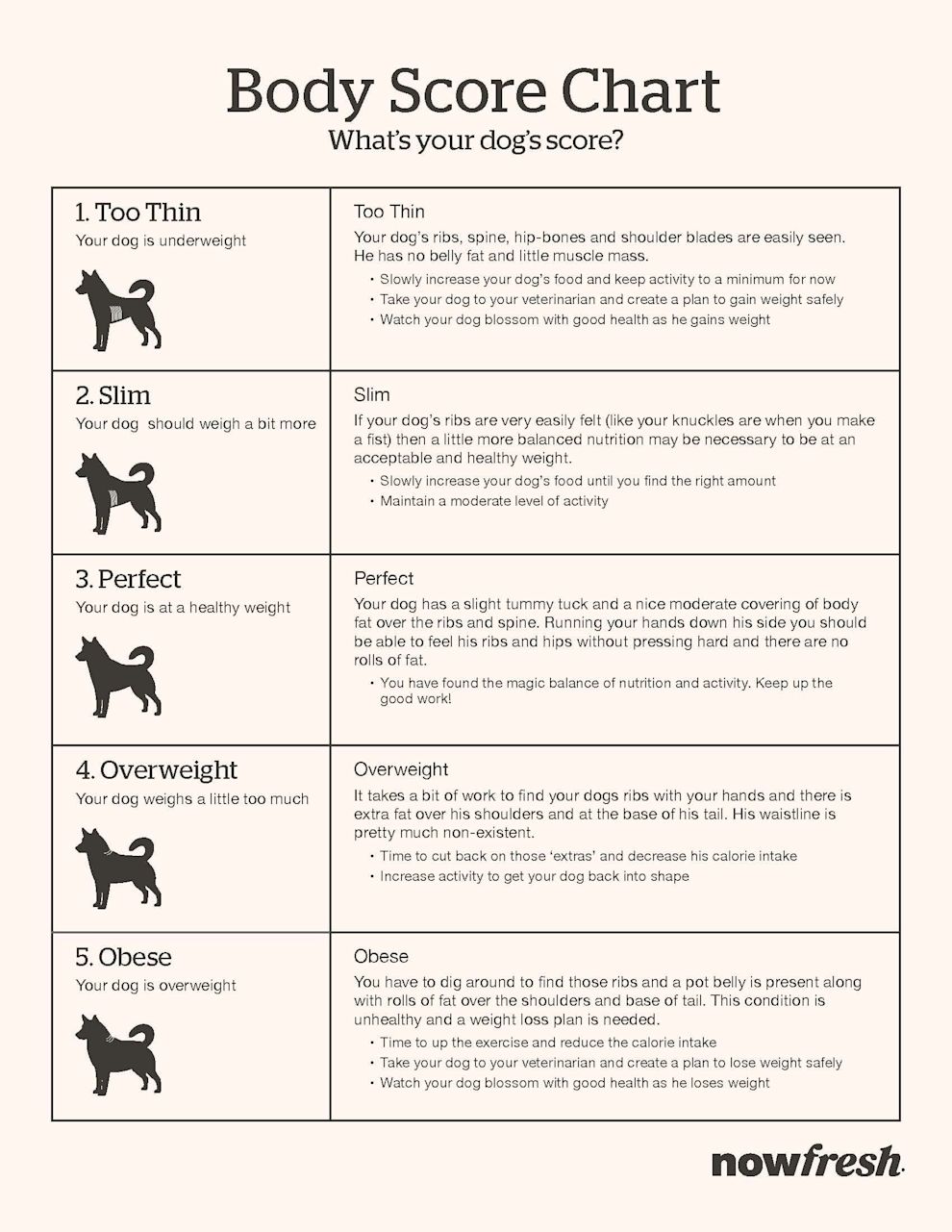 NOW FRESH dog body score chart