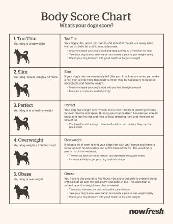 NOW FRESH dog body score chart