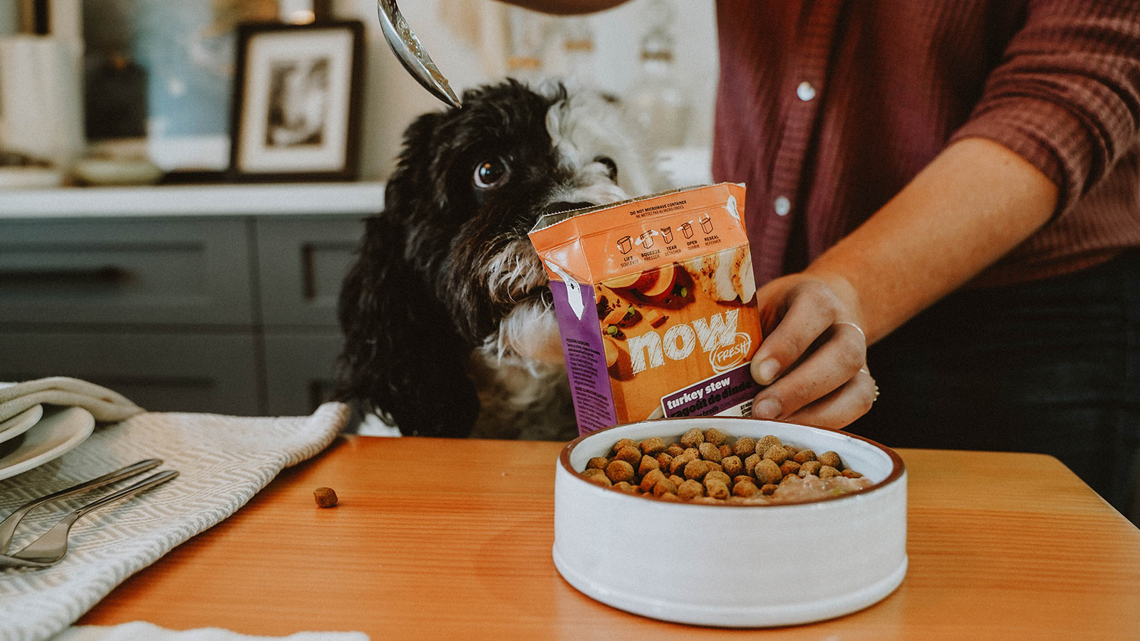 dog kibble without peas