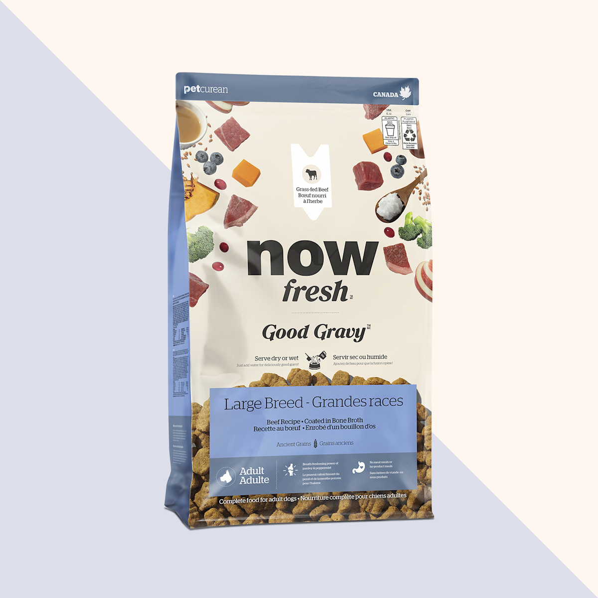 Nourriture sèche pour chiens de grande race Good Gravy de Now Fresh, recette au bœuf