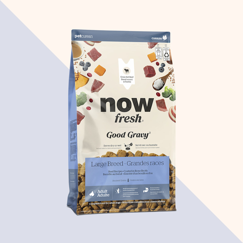 Nourriture sèche pour chiens de grande race Good Gravy de Now Fresh, recette au bœuf