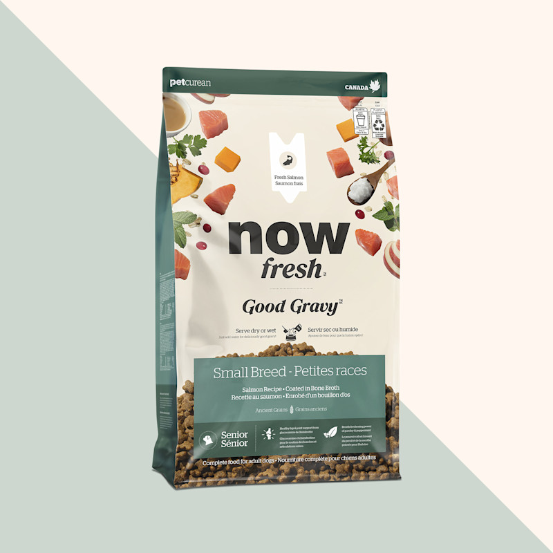 Now Fresh Good Gravy Salmon Recipe dry food for small breed senior dogs