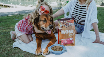 Young girl hugging dog having a picnic