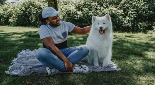 Pet parent and white Samoyed dog sitting on a picnic blanket under a tree