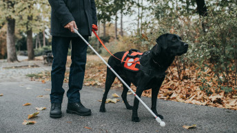 Black service dog with owner