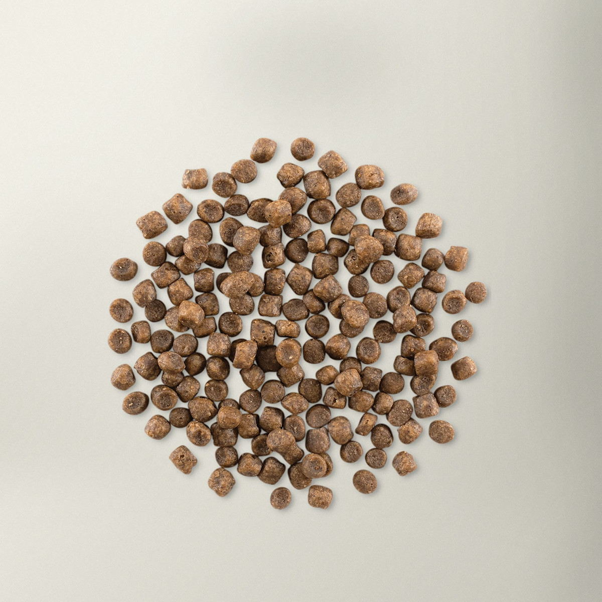 Now Fresh adult cat food kibble