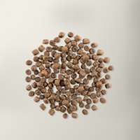 Now Fresh adult cat food kibble