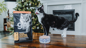 Cat with Christmas tree and bag of Go! Solutions Sensitivities kibble