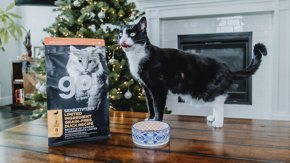 Cat with Christmas tree and bag of Go! Solutions Sensitivities kibble