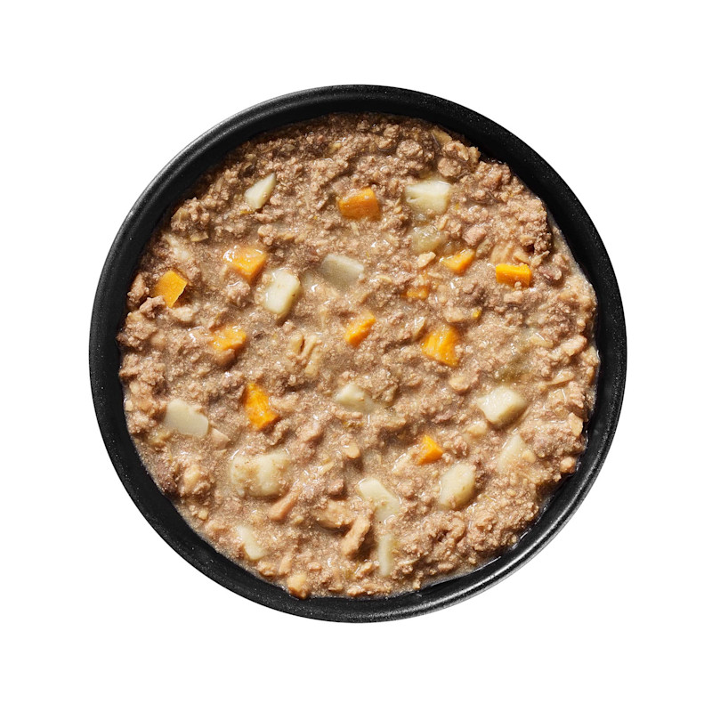 Bowl of GO! SOLUTIONS CARNIVORE Grain-Free Chicken, Turkey + Duck Stew for Dogs
