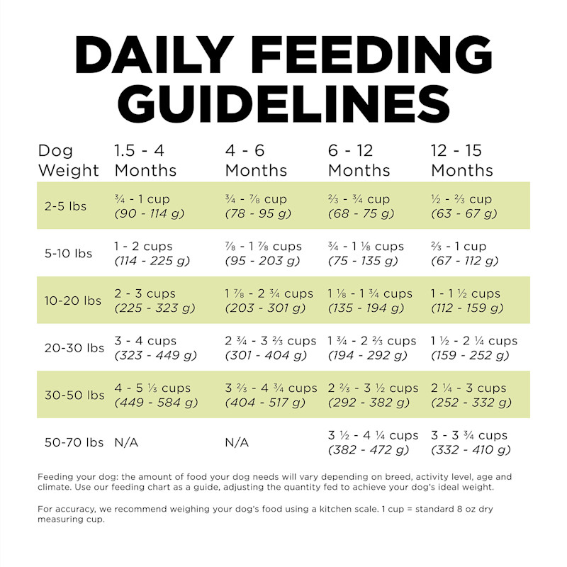 Go! Solutions Carnivore Grain-Free Chicken, Turkey + Duck Puppy Recipe dog food feeding guidelines