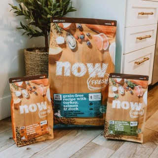 Three bags of NOW FRESH dog food kibble