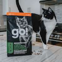 Black and white cat on kitchen counter with back of Go! Solutions kibble