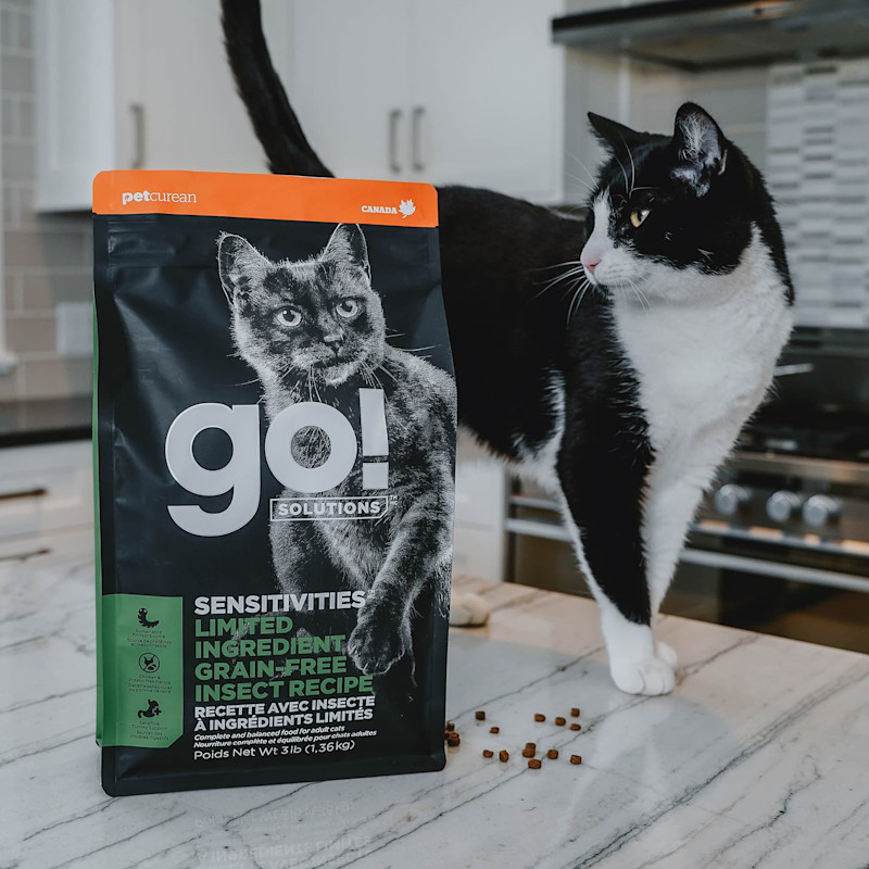 Black and white cat on kitchen counter with back of Go! Solutions kibble