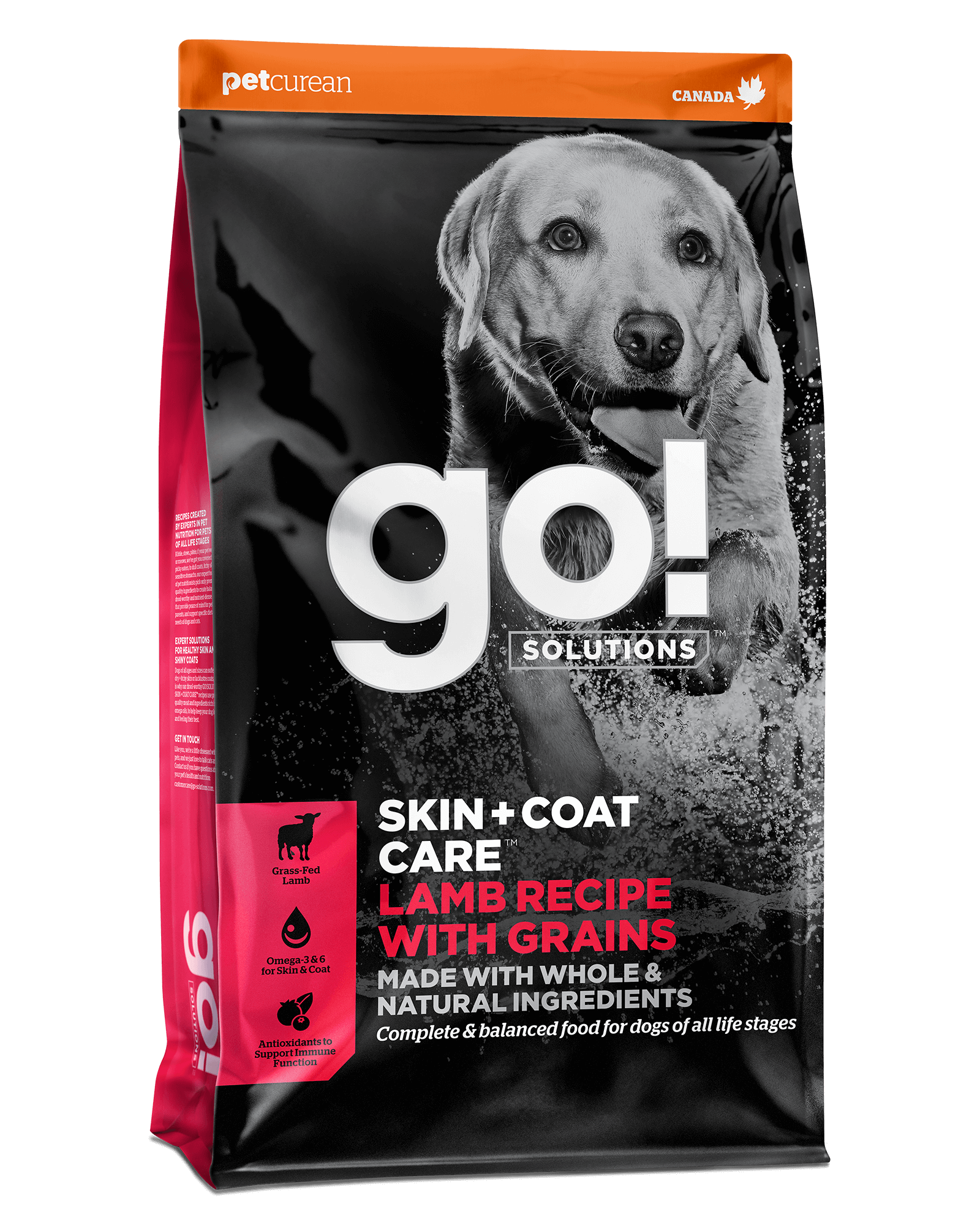 Go! Solutions Skin + Coat Care מתכון כבש עם דגנים