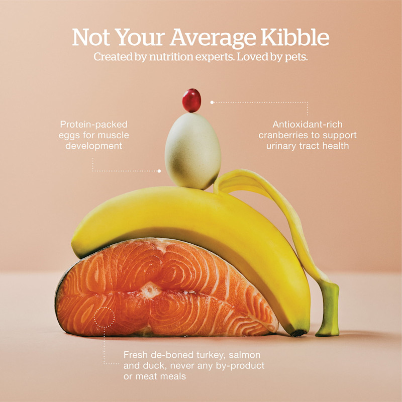 Created by nutrition experts and loved by pets