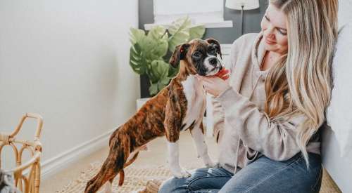 Woman sitting on floor with Boxer puppy