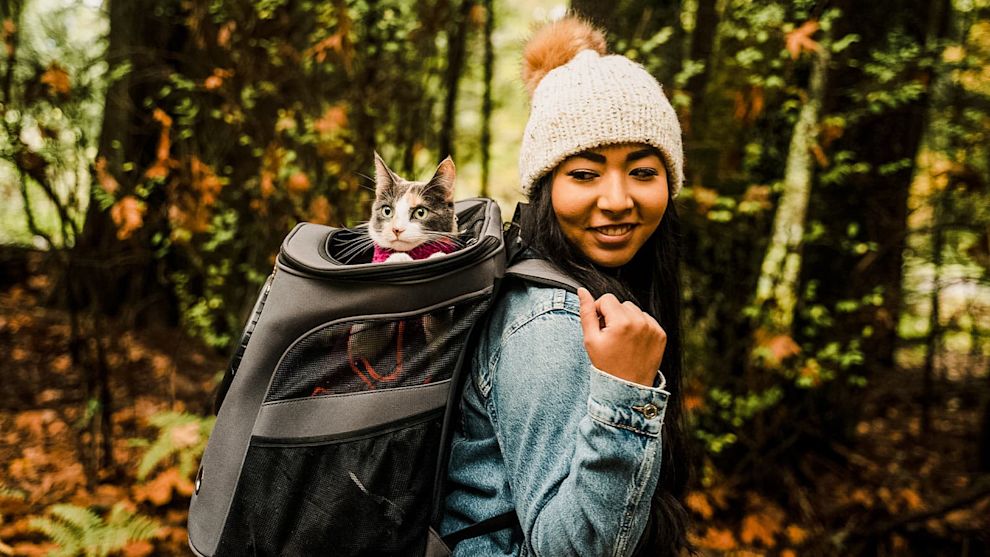 Small cat in hiking backpack outdoors with pet parent