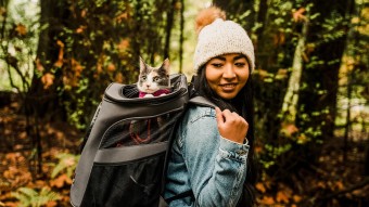 Small cat in hiking backpack outdoors with pet parent