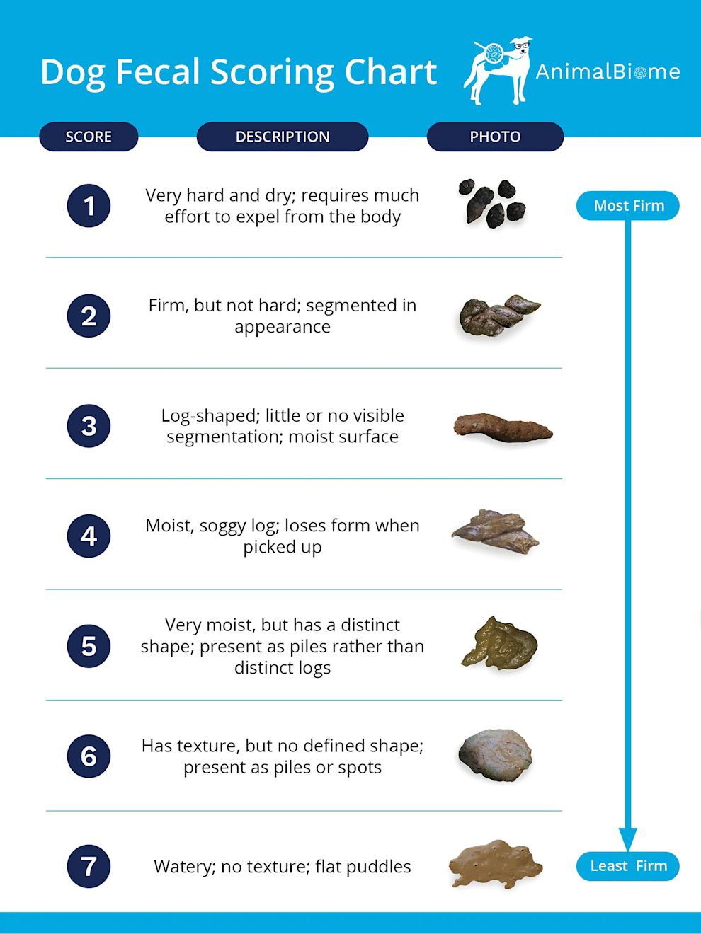 Dog fecal scoring chart