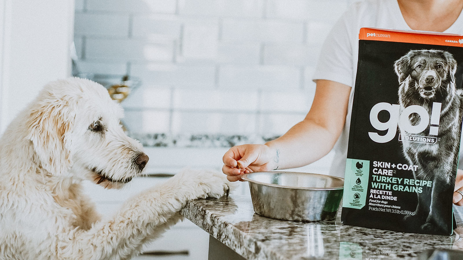 GO! SKIN + COAT CARE Turkey Recipe for Dogs