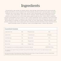 Now Fresh Good Gravy Small Breed Salmon Recipe dog food ingredients