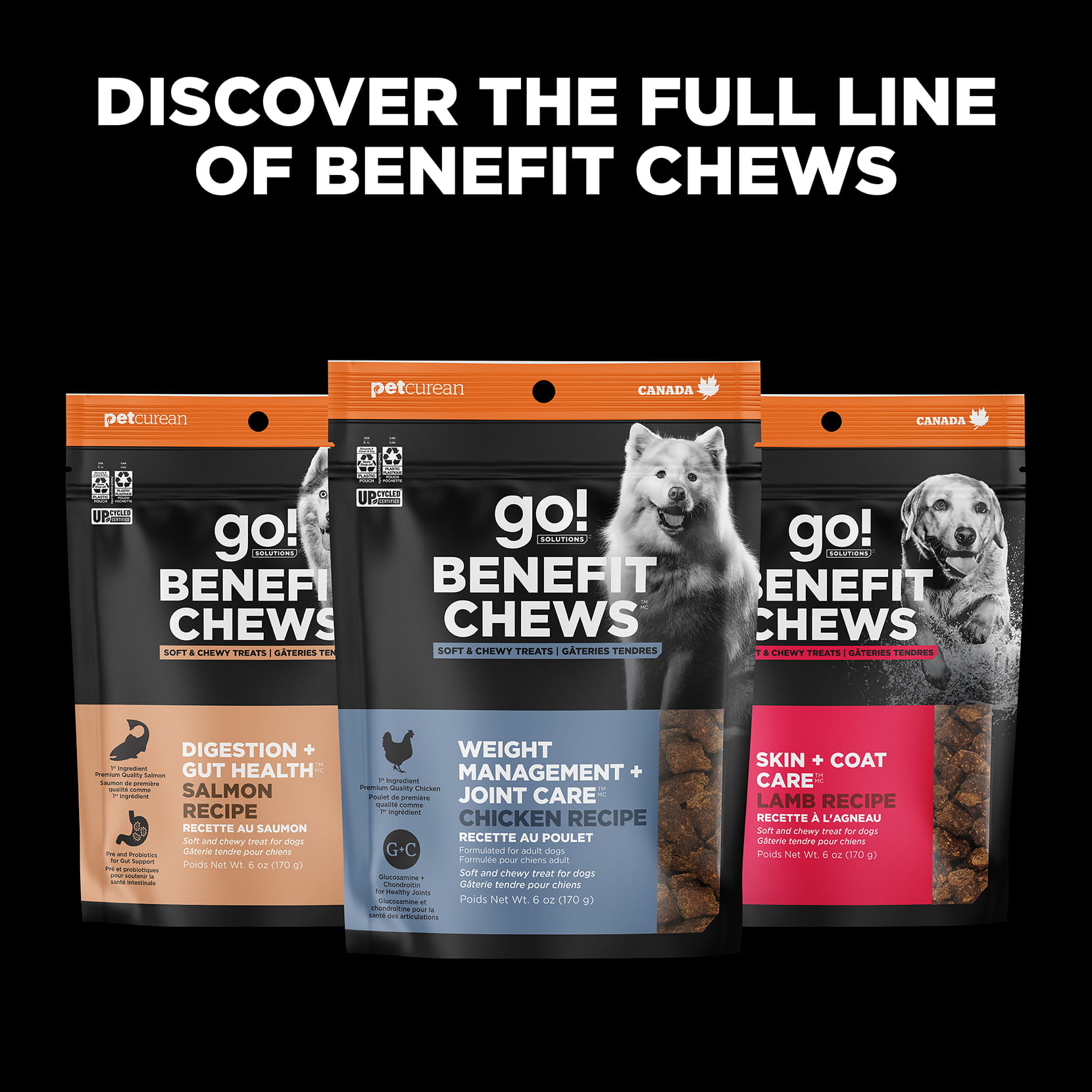 Sensitivities Limited Ingredient Salmon Dog Treats | Go! Benefit Chews