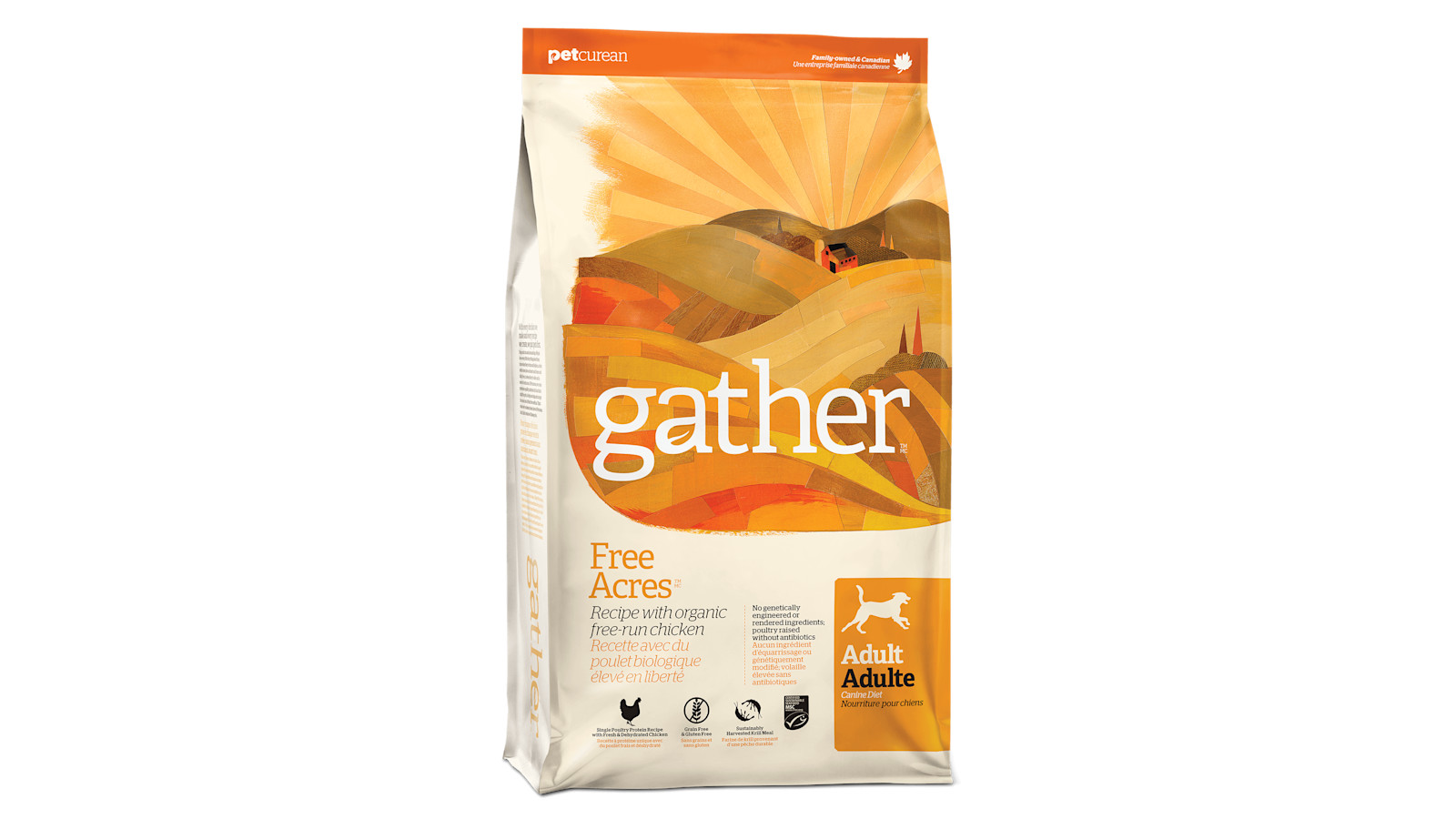 Gather petcurean best sale
