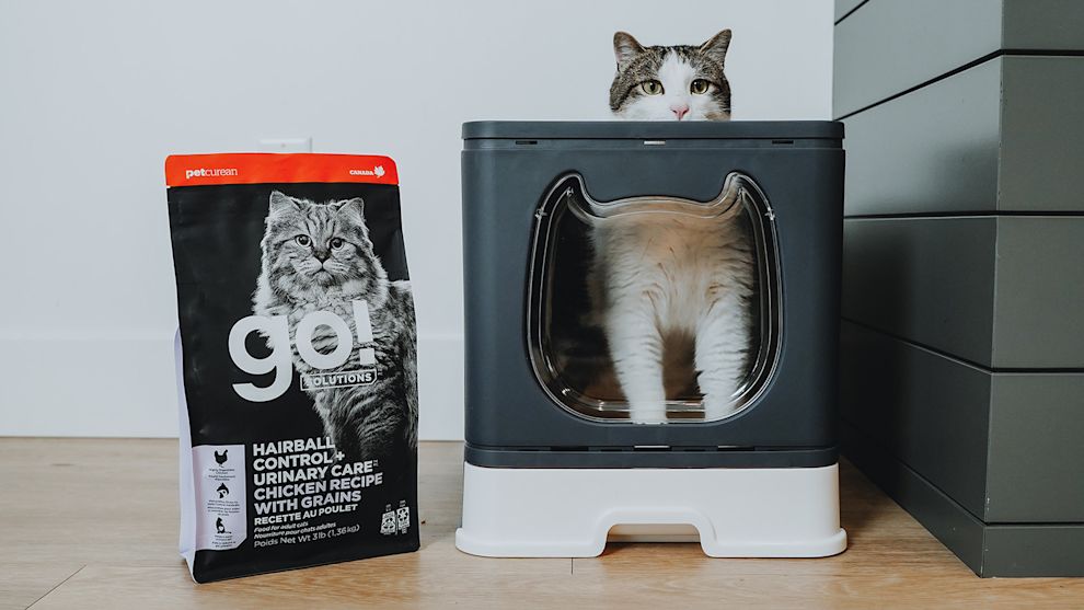 Cat in litterbox beside bag of Go! Hairball Control + Urinary Care cat food