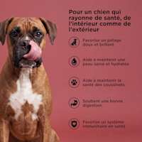Soft and shiny coat, keeps skin healthy and hydrated, supports paw pad health, supports good digestion, supports immune health