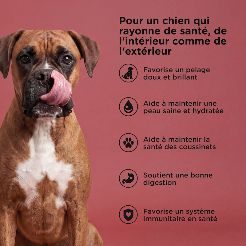 Soft and shiny coat, keeps skin healthy and hydrated, supports paw pad health, supports good digestion, supports immune health