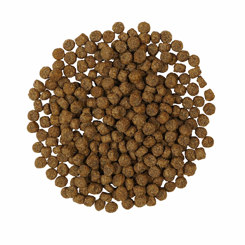 Go! Solutions Weight Management + Joint Care Grain-Free Chicken Recipe for Cats kibble