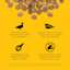 Premium-quality de-boned duck, prebiotic fiber, flaxseeds, and zero by-product meals