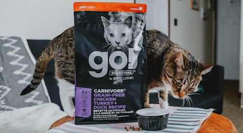Cat with bowl of Go! Solutions Carnivore kibble on table