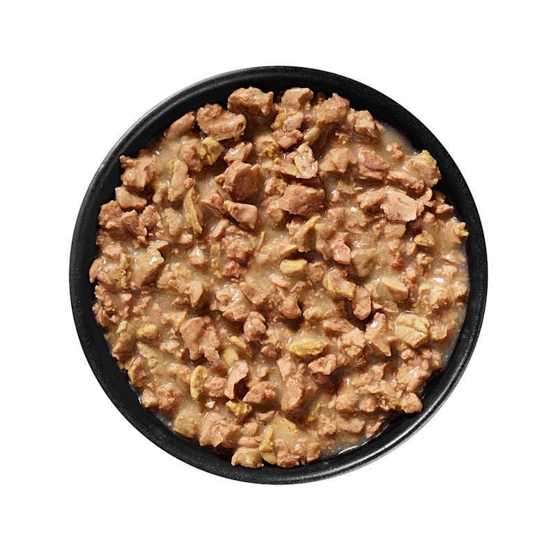 Bowl of GO! SOLUTIONS CARNIVORE Grain-Free Minced Lamb + Wild Boar Recipe for Cats