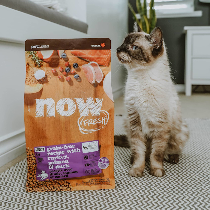 Cat sniffing bag of Now Fresh Senior kibble