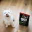 West Highland White Terrier licking its lips beside bag of GO! SOLUTIONS SENSITIVITIES Limited Ingredient Grain-Free Turkey Recipe for Dogs