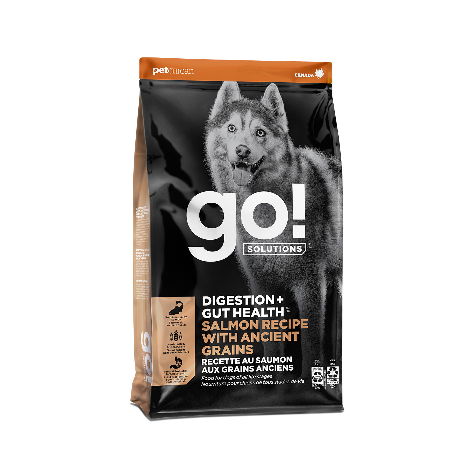 Go! Solutions Digestion + Gut Health Salmon dry dog food