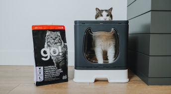 Cat in litterbox beside bag of Go! Hairball Control + Urinary Care cat food