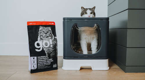 Cat in litterbox beside bag of Go! Hairball Control + Urinary Care cat food