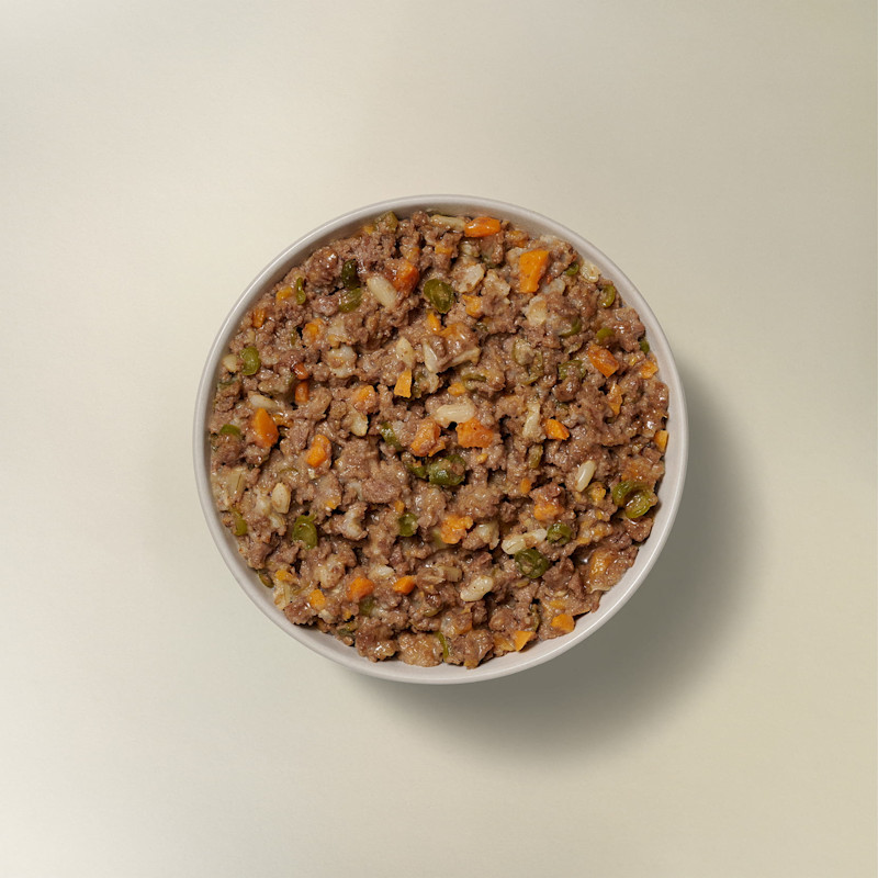 Now Fresh Beef & Rice Dinner wet dog food in bowl