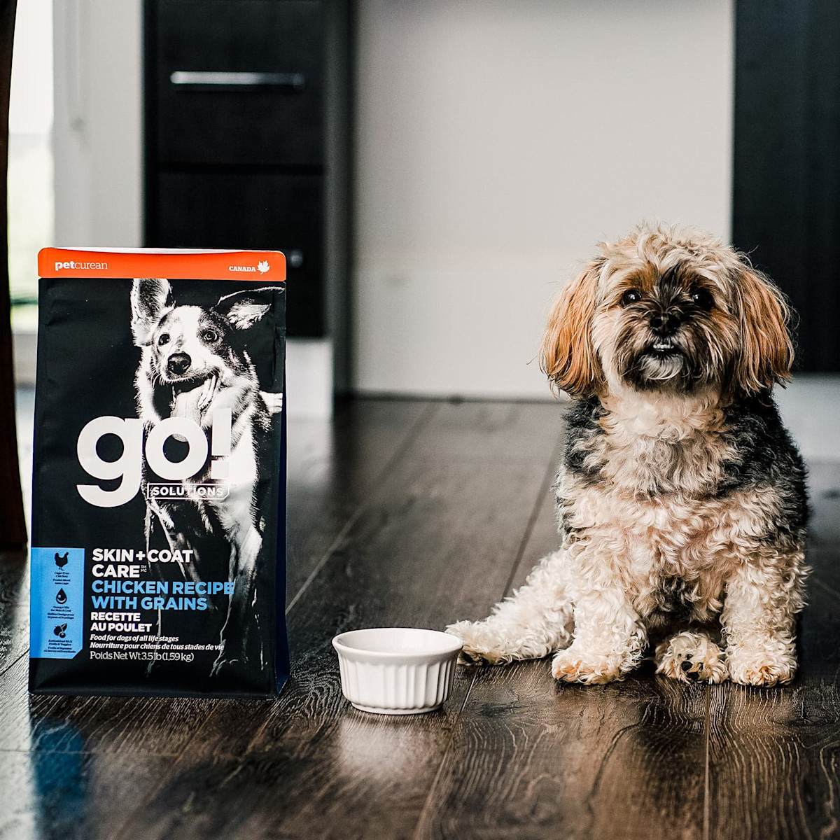 Small breed dog with bowl beside bag of GO! SOLUTIONS SKIN + COAT CARE Chicken Recipe with Grains dry food