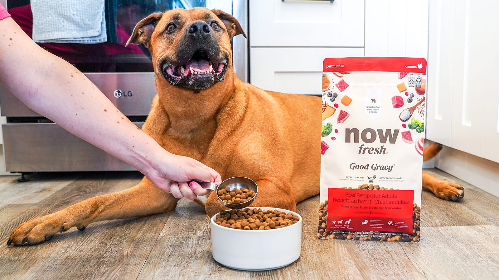 Good Gravy Beef Coated in Bone Broth for Dogs | Now Fresh