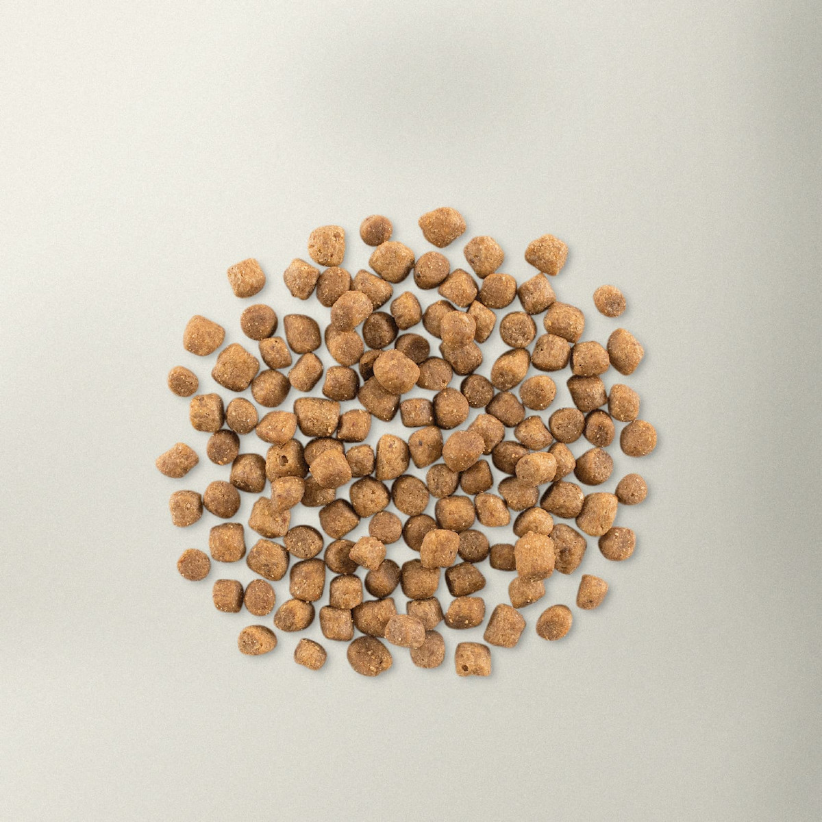 Now Fresh small breed puppy food kibble