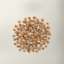 Now Fresh small breed puppy food kibble