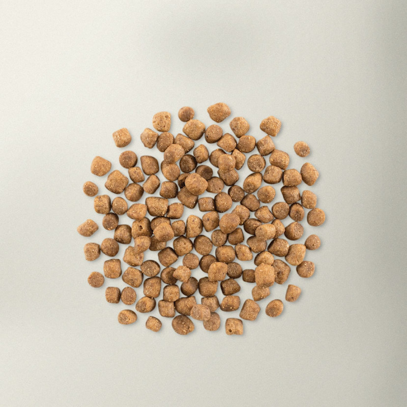 Now Fresh small breed puppy food kibble