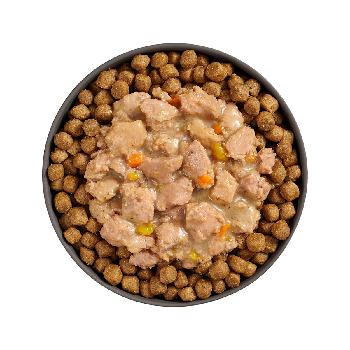 Bowl of kibble topped with Go! Booster Brain Health Minced Chicken + Salmon recipe for cats