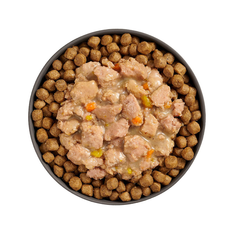 Bowl of kibble topped with Go! Booster Brain Health Minced Chicken + Salmon recipe for cats